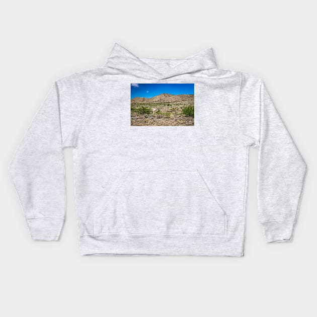 Criollo Cattle on the Open Range Kids Hoodie by Gestalt Imagery